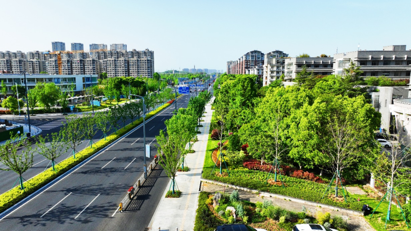 金鐘路（寶化路-南山路段）改擴建工程（Ⅱ標段）